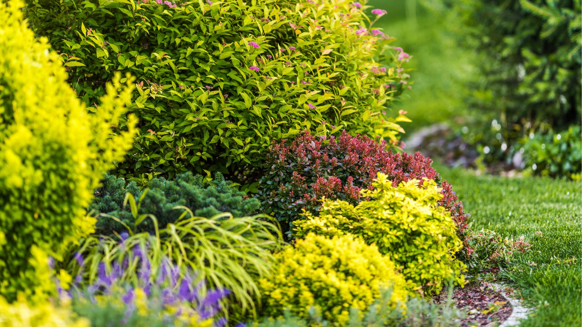 plant-installation-frontier-outdoors