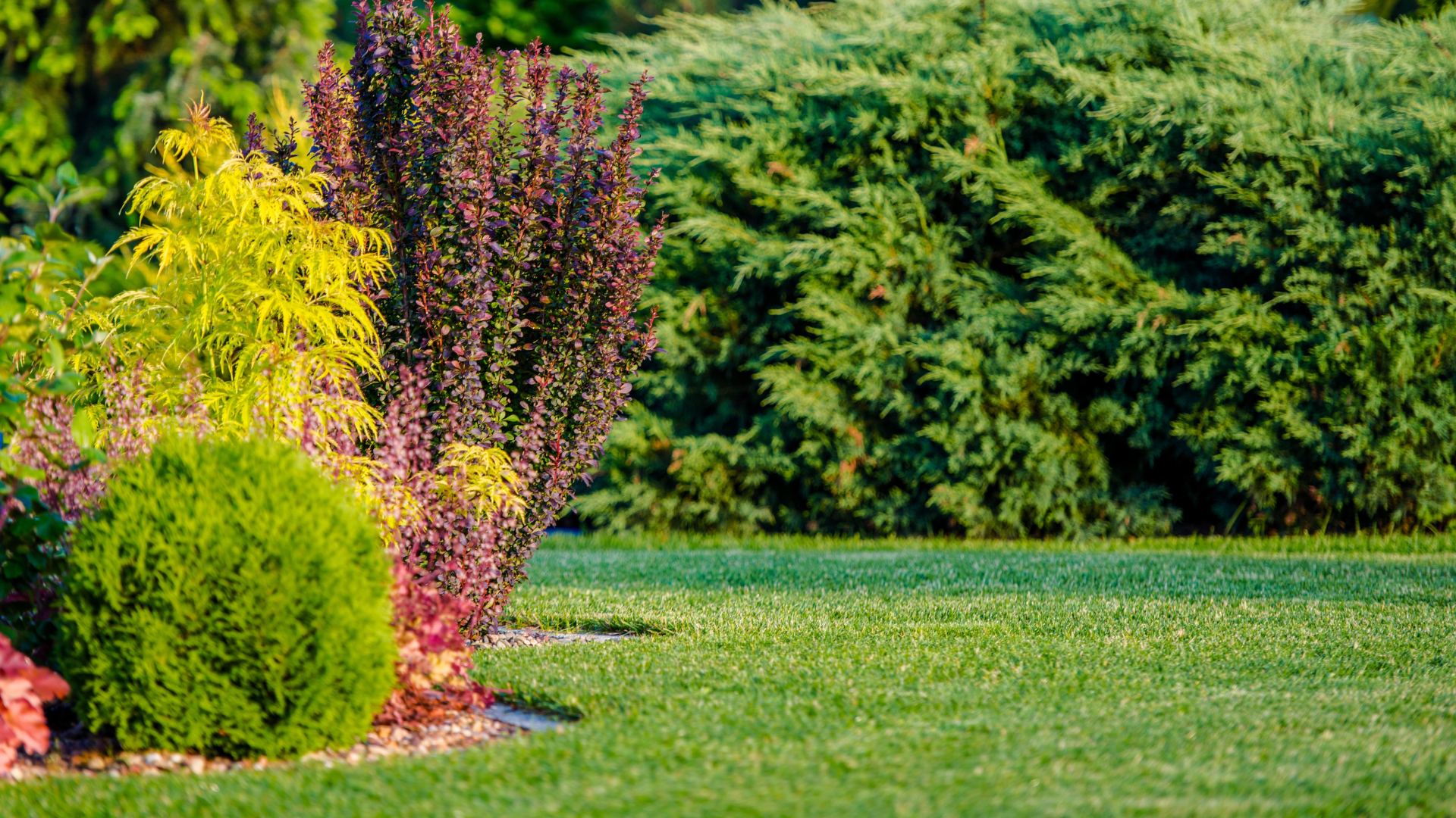 plant-installation-frontier-outdoors